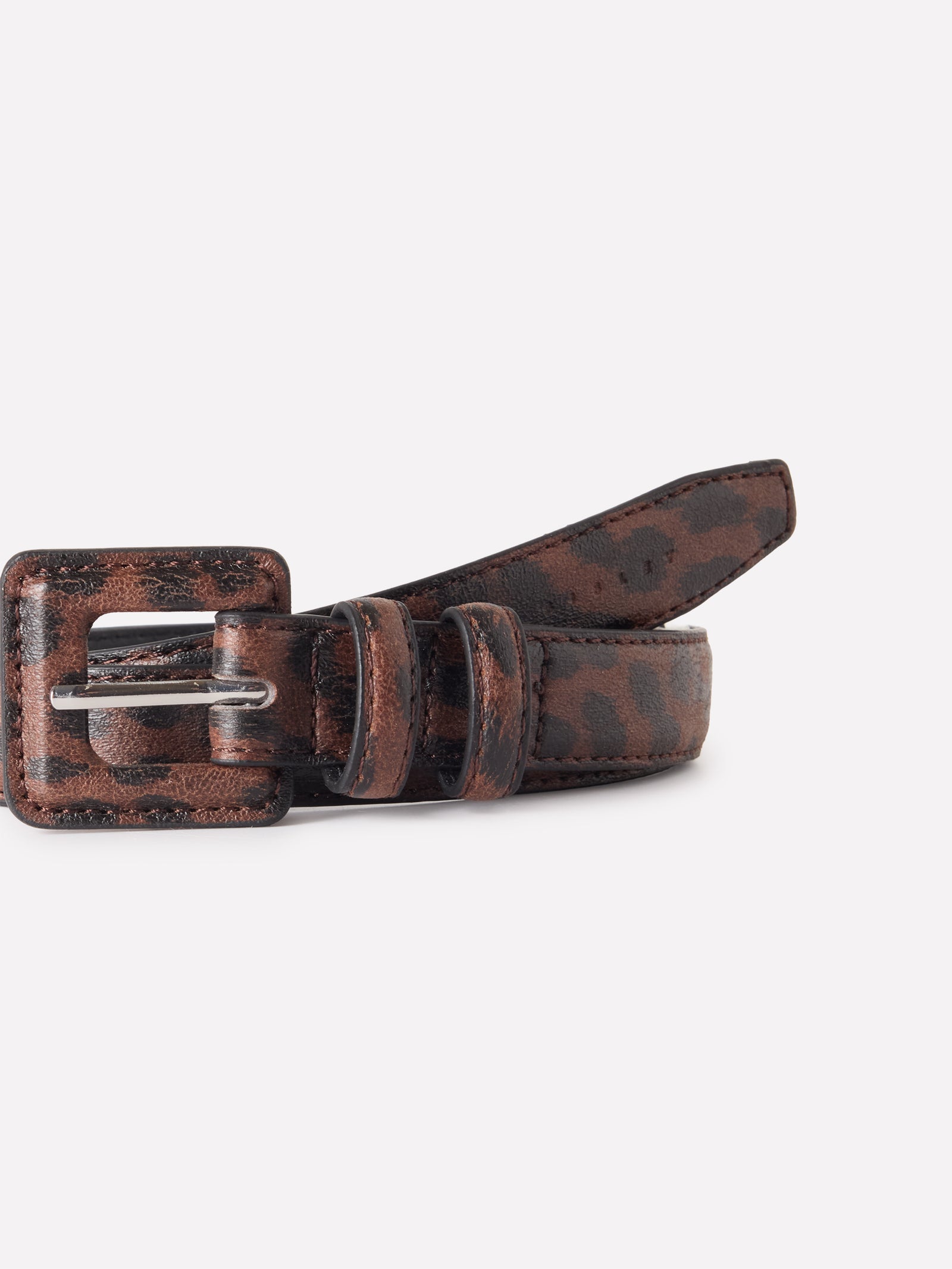 Cinto animalier - ucb_image_DS1